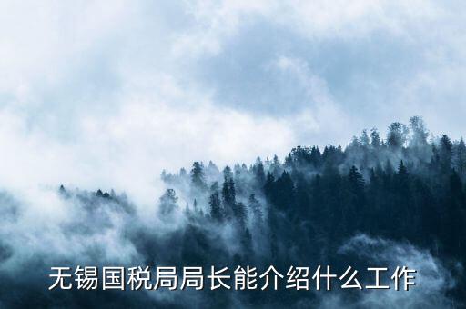 無錫地稅局長接待日是什么，無錫國稅局局長能介紹什么工作