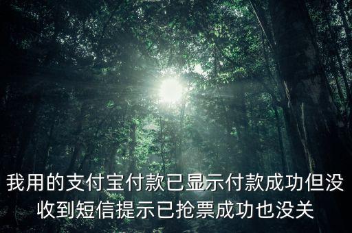 我用的支付寶付款已顯示付款成功但沒(méi)收到短信提示已搶票成功也沒(méi)關(guān)