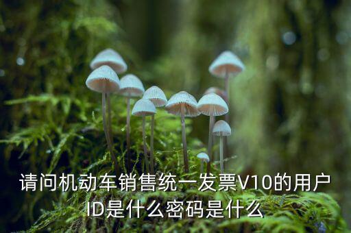 發(fā)票登錄密碼是什么，國稅局發(fā)票軟件里用戶代碼和密碼是什么