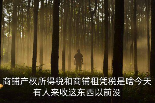 什么叫店面租憑稅，商鋪產(chǎn)權(quán)所得稅和商鋪租憑稅是啥今天有人來收這東西以前沒