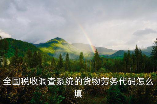 商品和勞務(wù)編碼是什么，貨物勞務(wù)代碼如何填