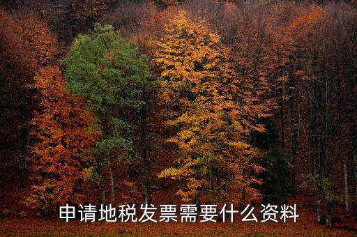 地稅局開票需要帶什么，申請地稅發(fā)票需要什么資料