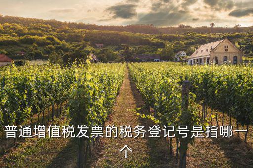 什么是增值稅登記號碼，增值稅登記號