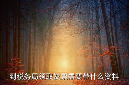 到稅務局領(lǐng)取發(fā)票需要帶什么資料
