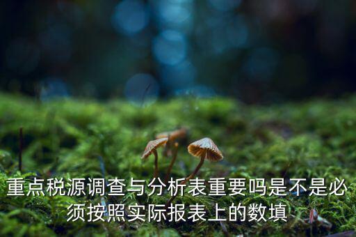 重點(diǎn)稅源分析分析什么，重點(diǎn)稅源的介紹