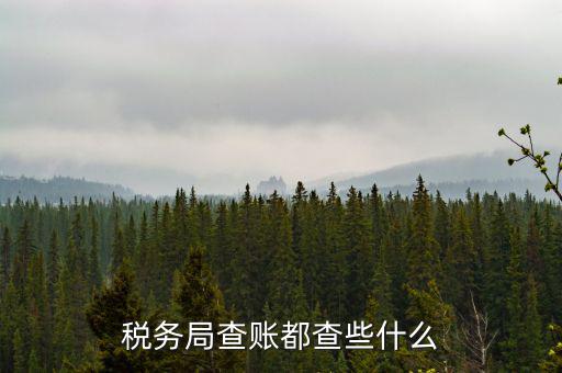 稅務(wù)局查稅一般查什么，請(qǐng)問(wèn)一下老師一般稅務(wù)局人來(lái)查帳一般查什么的