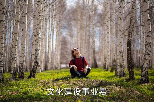 什么是文化事業(yè)建設稅，文化建設事業(yè)費