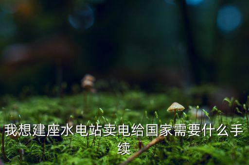 企業(yè)賣電需要什么手續(xù)費，我想建座水電站賣電給國家需要什么手續(xù)
