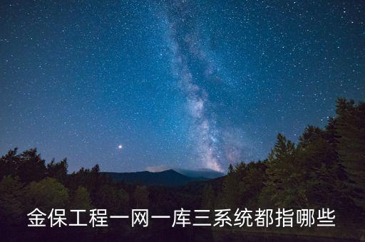 什么是金三系統(tǒng)，會計證外借給公司掛靠什么也沒做就被金三系統(tǒng)監(jiān)控了