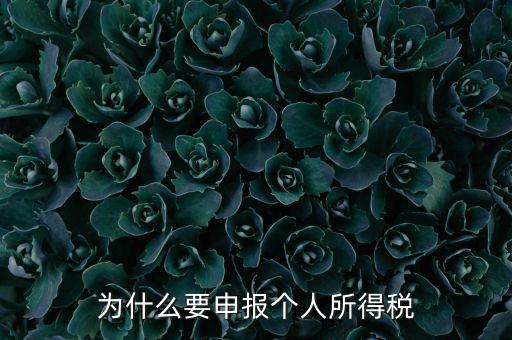 為什么要申報納稅，為什么公司老是要申報稅