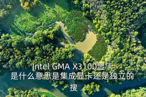 國稅集成理念是什么意思，Intel GMA X3100顯卡 是什么意思是集成顯卡還是獨立的  搜