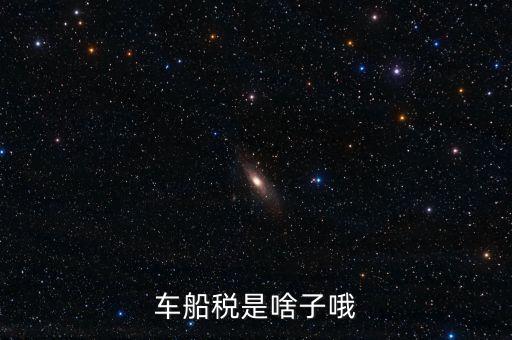 保險的車船稅是什么，車船稅是啥子哦