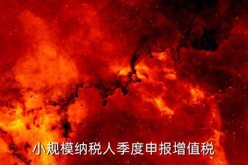 小規(guī)模季報(bào)申報(bào)增值稅帶什么，小規(guī)模納稅人增值稅申報(bào)要準(zhǔn)備什么資料