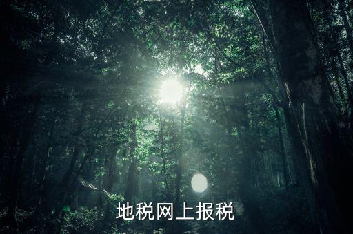 地稅網(wǎng)上需要報(bào)什么稅，網(wǎng)上報(bào)稅地稅國稅各有哪些稅種