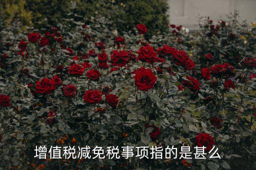 什么是減免稅申報，增值稅減免稅事項指的是甚么