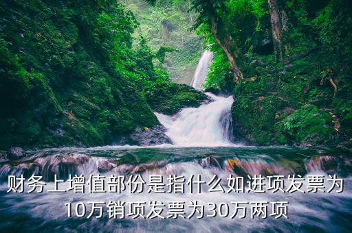 財務上增值部份是指什么如進項發(fā)票為10萬銷項發(fā)票為30萬兩項