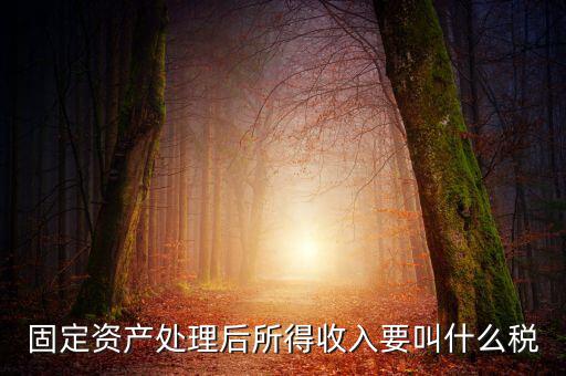 什么叫做試點納稅人，固定資產(chǎn)處理后所得收入要叫什么稅