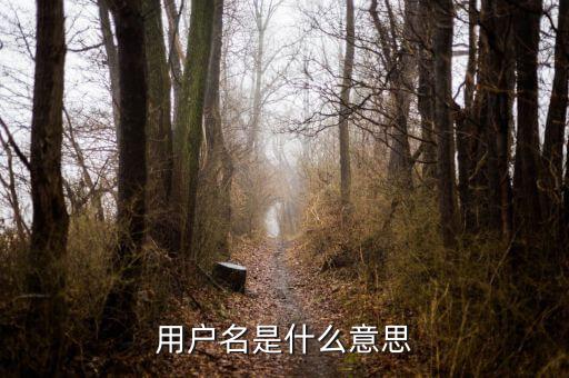 個稅用戶名是指什么意思，用戶名是什么意思