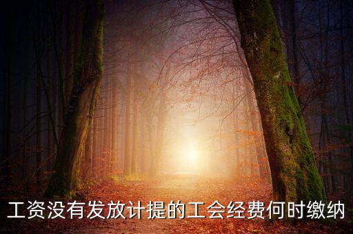 工會經(jīng)費一般什么時候交，工資沒有發(fā)放計提的工會經(jīng)費何時繳納