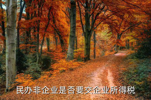 非企業(yè)單位交什么稅，非居民企業(yè)的征稅范圍