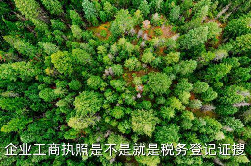 什么是工商稅務(wù)登記證，什么是稅務(wù)證