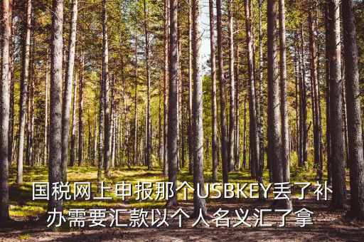 稅務ukey是什么意思，國稅網上申報那個USBKEY丟了補辦需要匯款以個人名義匯了拿