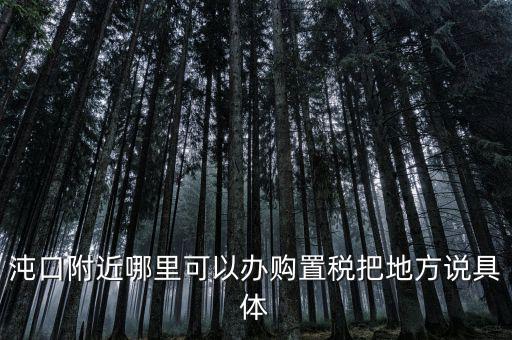 漢陽稅務(wù)局什么車，沌口附近哪里可以辦購(gòu)置稅把地方說具體