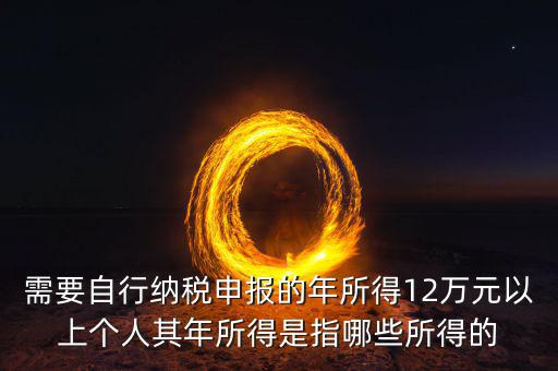 需要自行納稅申報(bào)的年所得12萬元以上個人其年所得是指哪些所得的