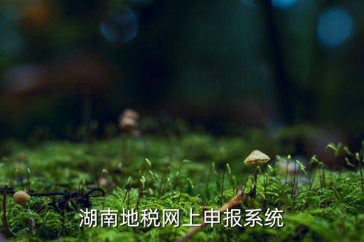 湖南省的地稅報稅軟件是什么，湖南地稅網(wǎng)上申報系統(tǒng)