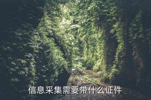 實(shí)名信息采集帶什么東西，去銀行辦理對(duì)公信息采集表需要帶哪些東西