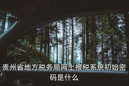 黑龍江電子稅務是什么，貴州省地方稅務局網上報稅系統(tǒng)初始密碼是什么