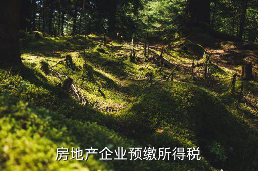 房地產(chǎn)預(yù)繳是什么意思，房價預(yù)交1萬抵2萬是什么意思