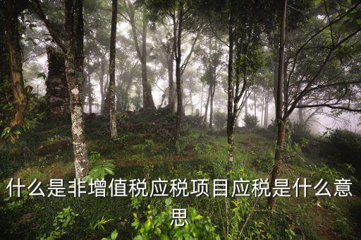 成品油應(yīng)稅和非應(yīng)稅是什么意思，什么是非增值稅應(yīng)稅項(xiàng)目應(yīng)稅是什么意思