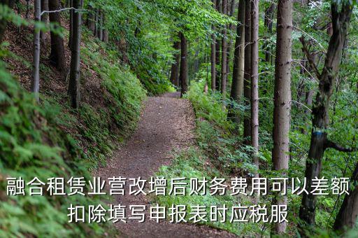 應(yīng)稅服務(wù)扣除項(xiàng)目清單干什么用，應(yīng)稅服務(wù)扣除項(xiàng)目清單中允許扣除項(xiàng)目金額指的是什么是總