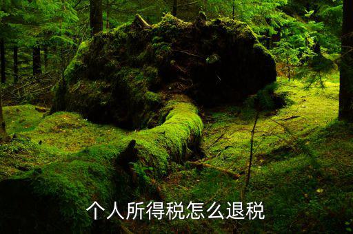 為什么要涉稅專業(yè)服務，80年以前有稅務局嗎