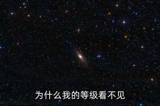 為什么無(wú)法查詢到納稅等級(jí)，為什么我的等級(jí)看不見(jiàn)