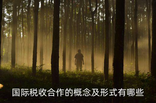 國際稅源是什么意思，國際稅收合作的概念及形式有哪些