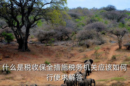 稅務(wù)局四個確保是什么，如何加強稅務(wù)稽查工作的幾點思考