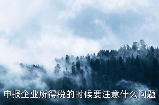 年度企業(yè)所得稅申報注意什么，申報企業(yè)所得稅的時候要注意什么問題