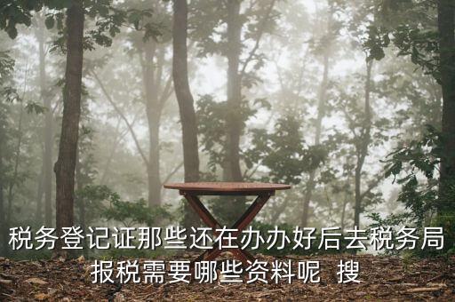 新辦企業(yè)稅務(wù)局需要什么資料，稅務(wù)登記證那些還在辦辦好后去稅務(wù)局報稅需要哪些資料呢  搜