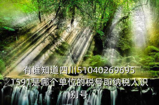 四川國(guó)稅廳帳號(hào)是什么，有誰(shuí)知道四川510402696951591是哪個(gè)單位的稅號(hào)即納稅人識(shí)別號(hào)