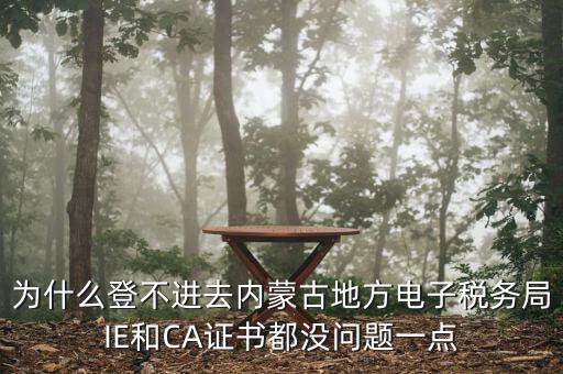為什么登不進(jìn)去內(nèi)蒙古地方電子稅務(wù)局IE和CA證書(shū)都沒(méi)問(wèn)題一點(diǎn)