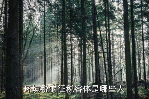 環(huán)保稅納稅人的什么意思，環(huán)境稅是什么意思