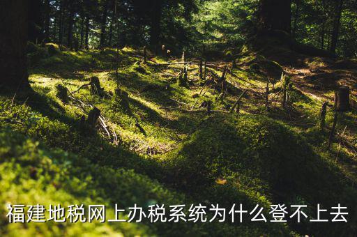企業(yè)所得稅系統(tǒng)為什么登不上，福建地稅網上辦稅系統(tǒng)為什么登不上去