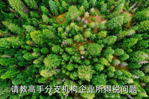 企業(yè)所得稅分管單位是什么意思，企業(yè)所得稅主管稅務局指的是什么