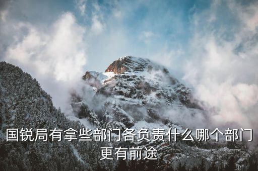 國(guó)銳局是辦什么，深圳公司入黑名單注銷(xiāo)吊銷(xiāo)