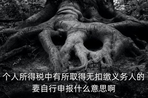 什么叫自行申報，個人所得稅中有所取得無扣繳義務人的要自行申報什么意思啊