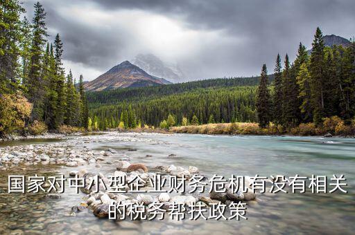 國家對中小型企業(yè)財務危機有沒有相關的稅務幫扶政策