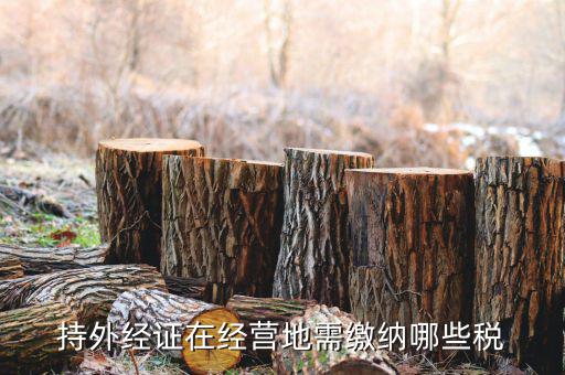 江蘇企業(yè)開外經(jīng)證要交什么稅，持外經(jīng)證在經(jīng)營地需繳納哪些稅