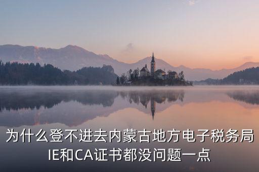為什么電子稅務(wù)局登錄不了，山西省電子稅務(wù)局在電腦上登陸不上為啥呢